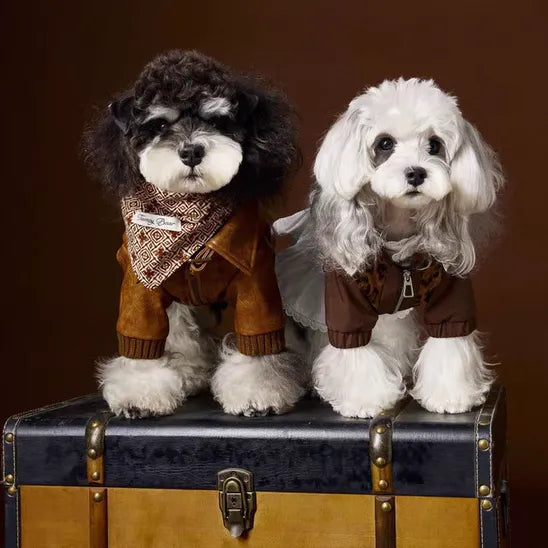 Winter Dog Leather Jacket