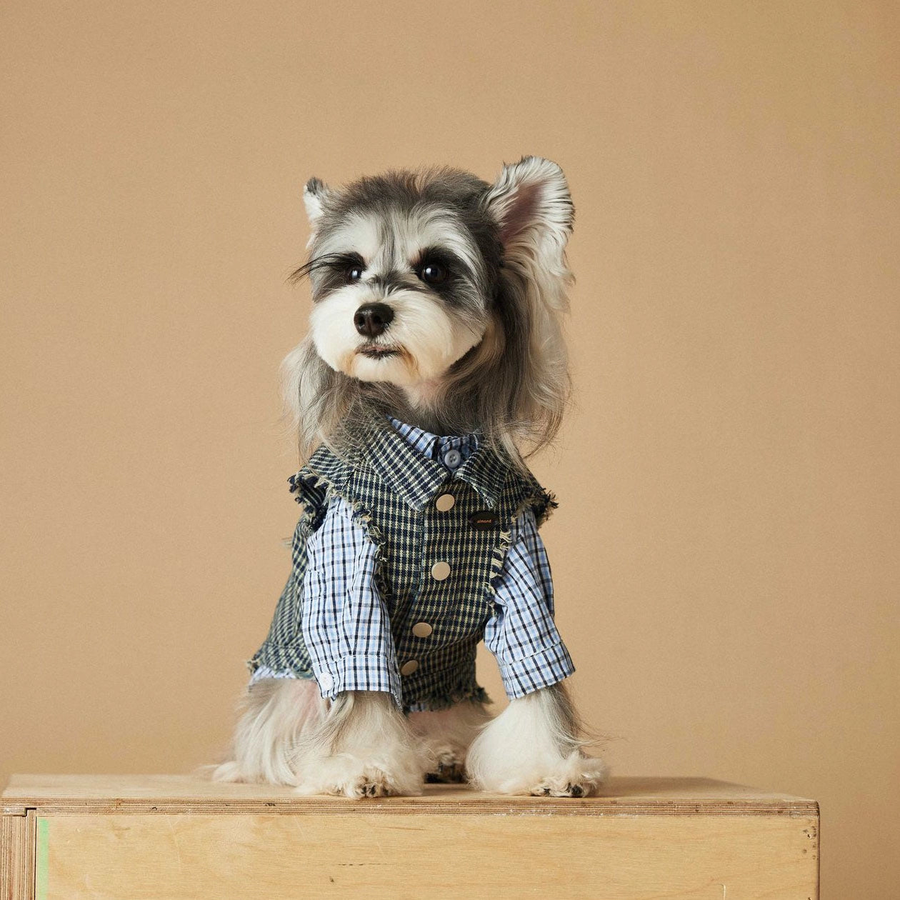Dog Shirt Vest