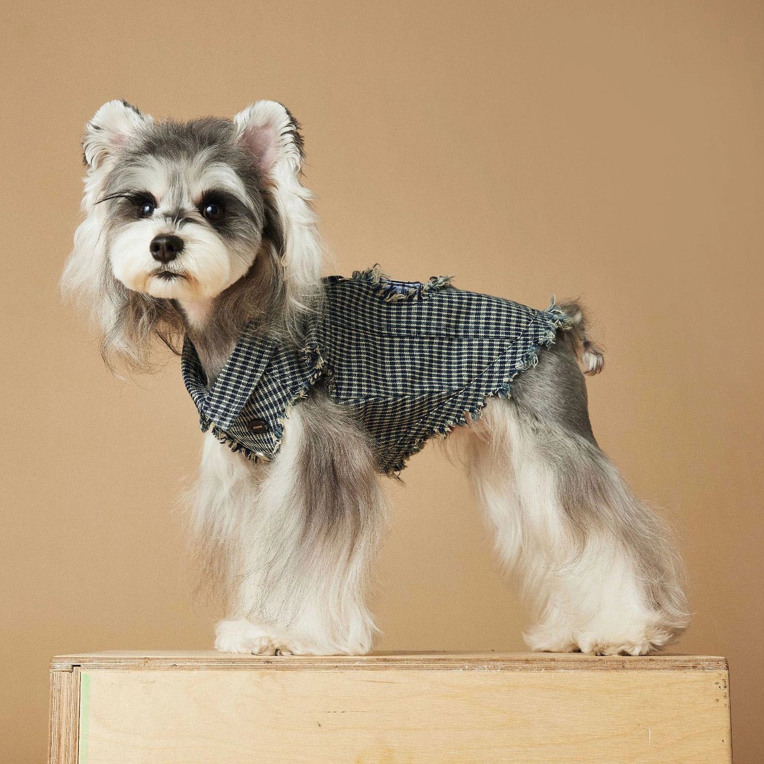 Dog Shirt Vest