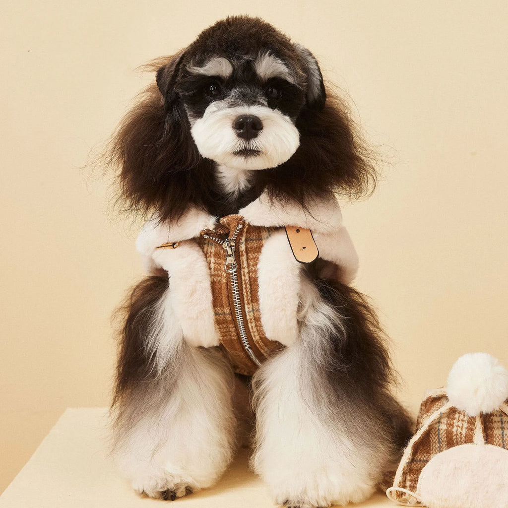 Gilet d'hiver pour chien