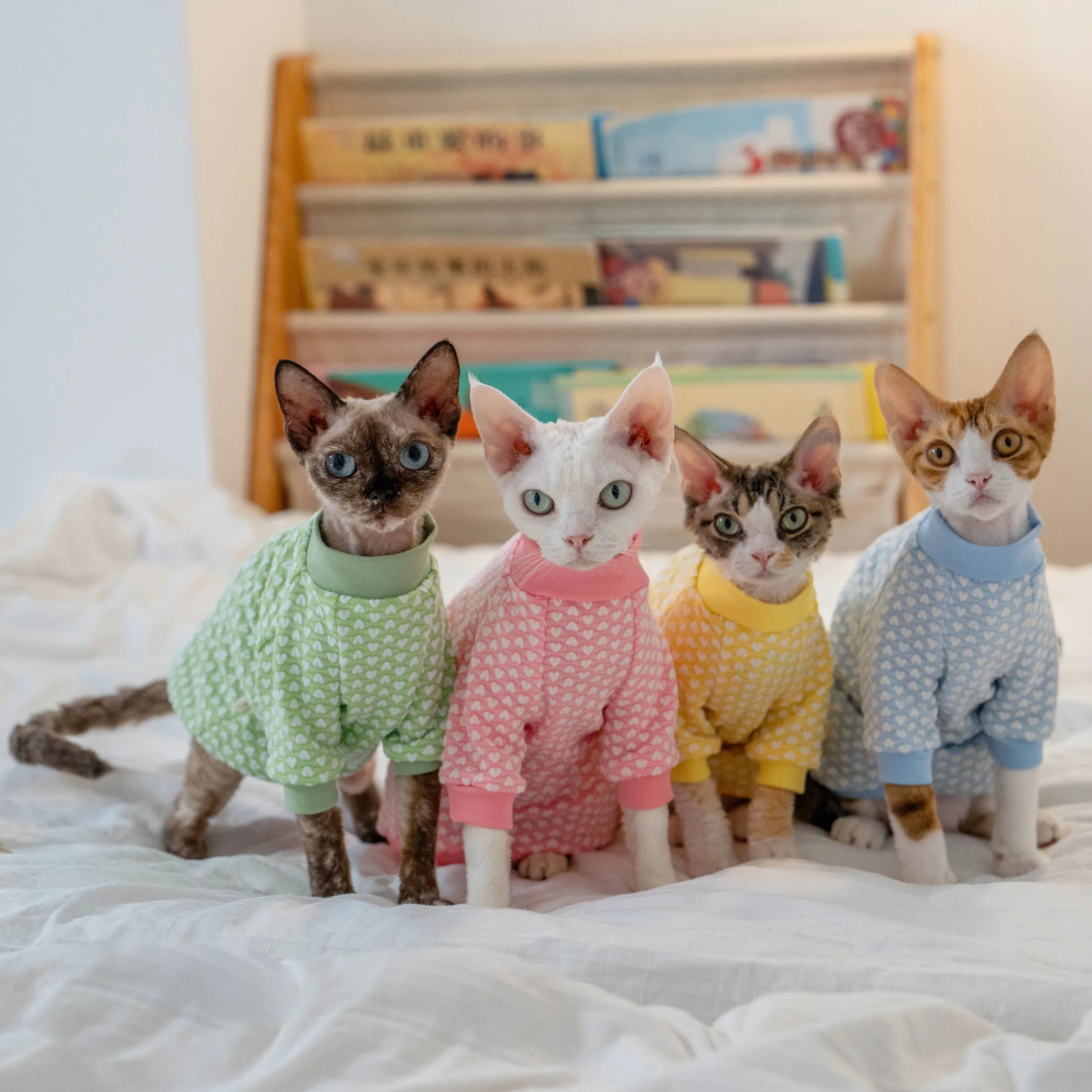 Early Autumn Cat T-Shirt