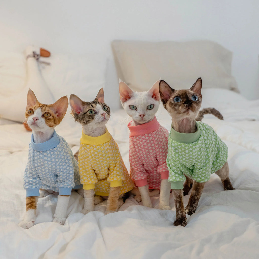 Early Autumn Cat T-Shirt