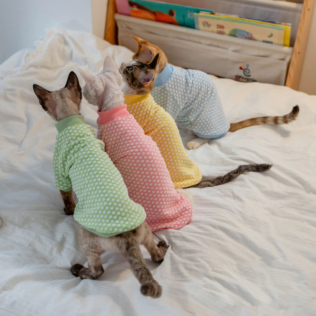 Early Autumn Cat T-Shirt