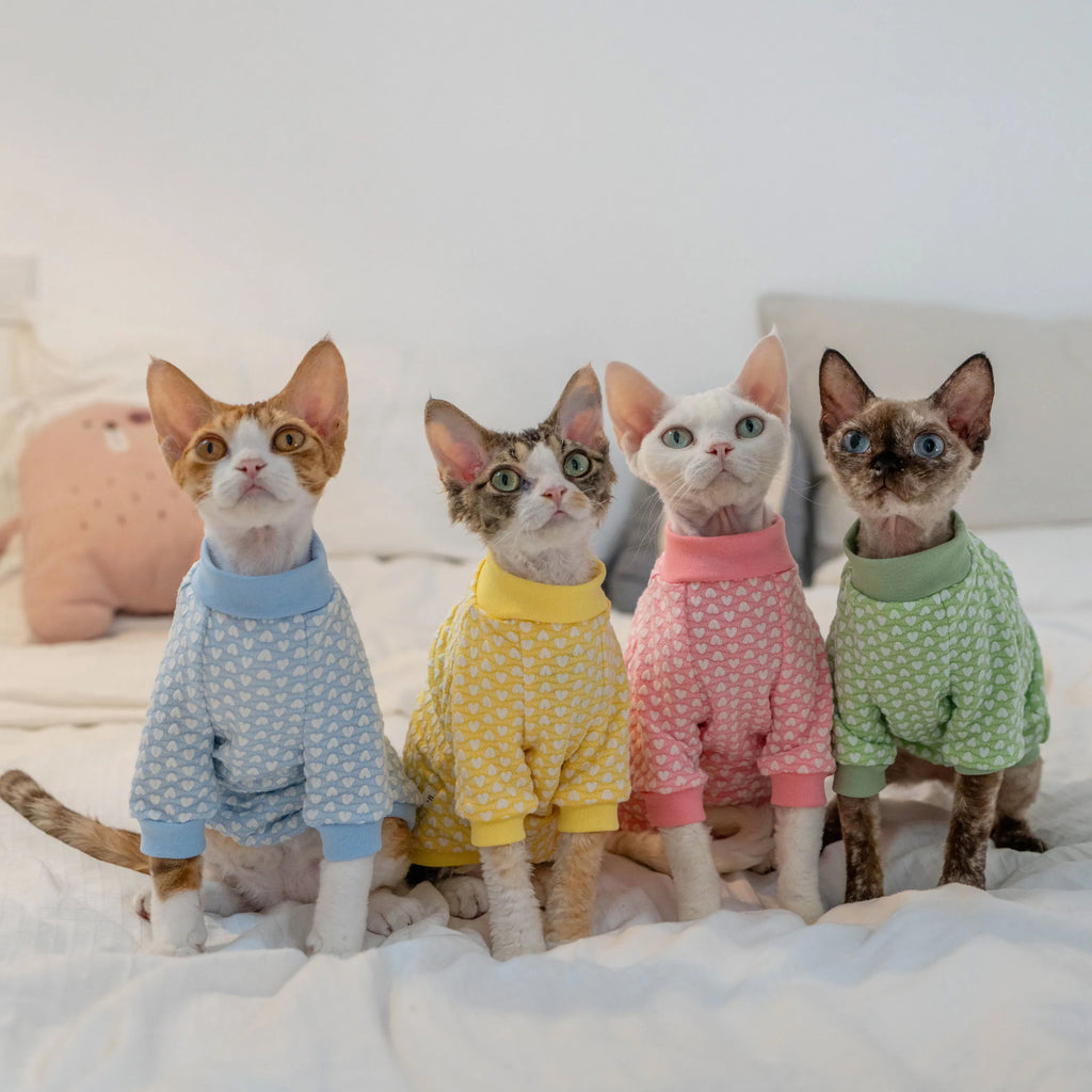 Early Autumn Cat T-Shirt