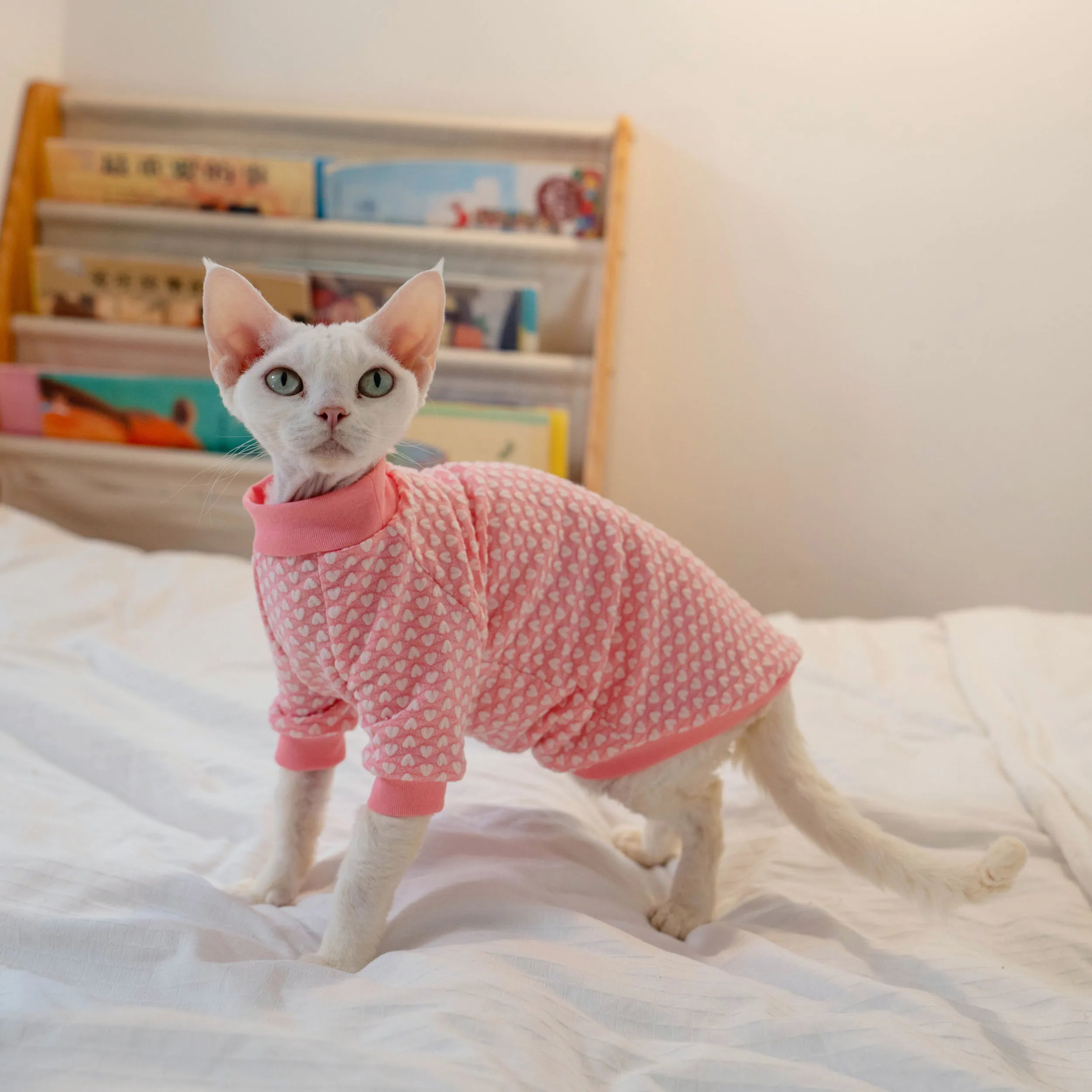 Early Autumn Cat T-Shirt