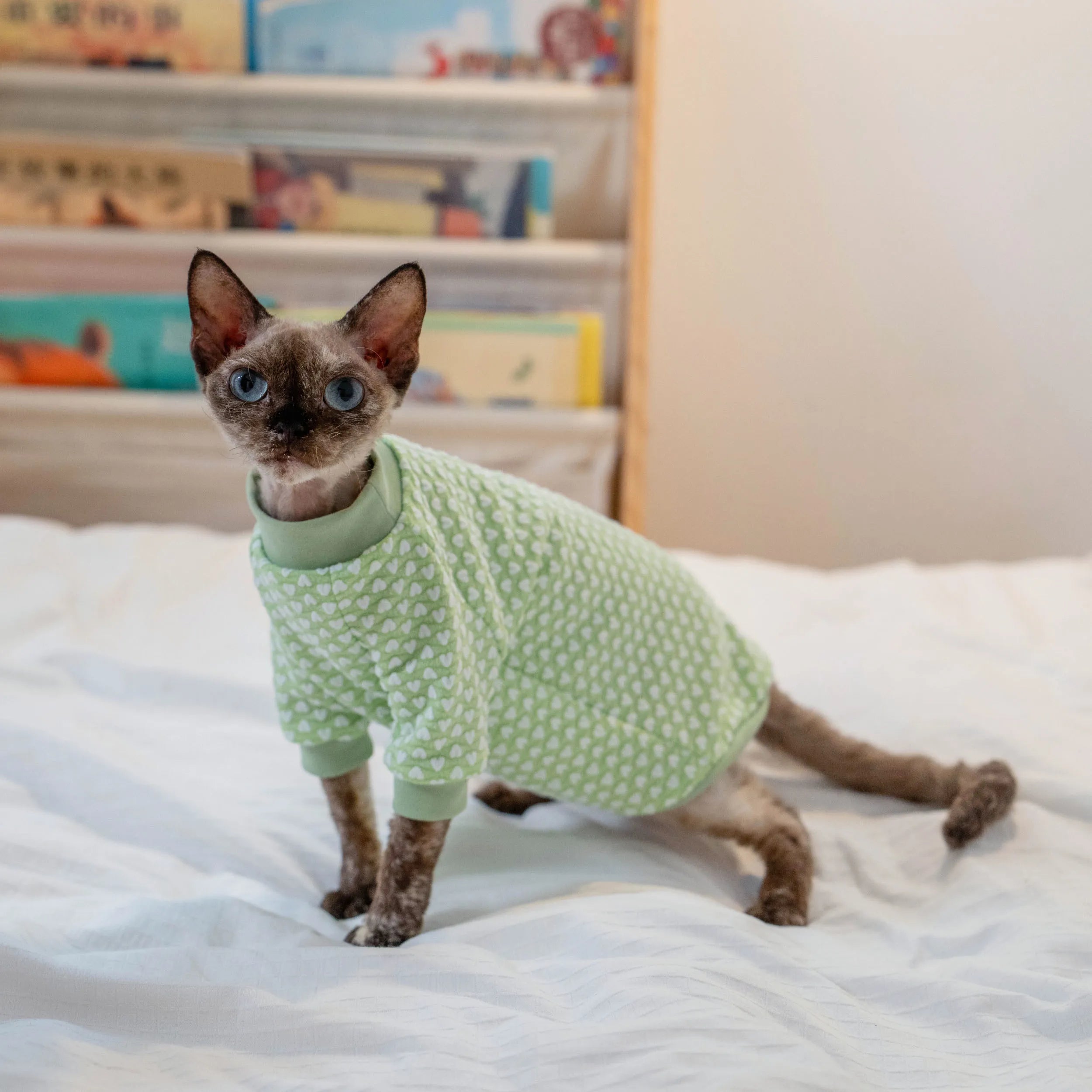 Early Autumn Cat T-Shirt