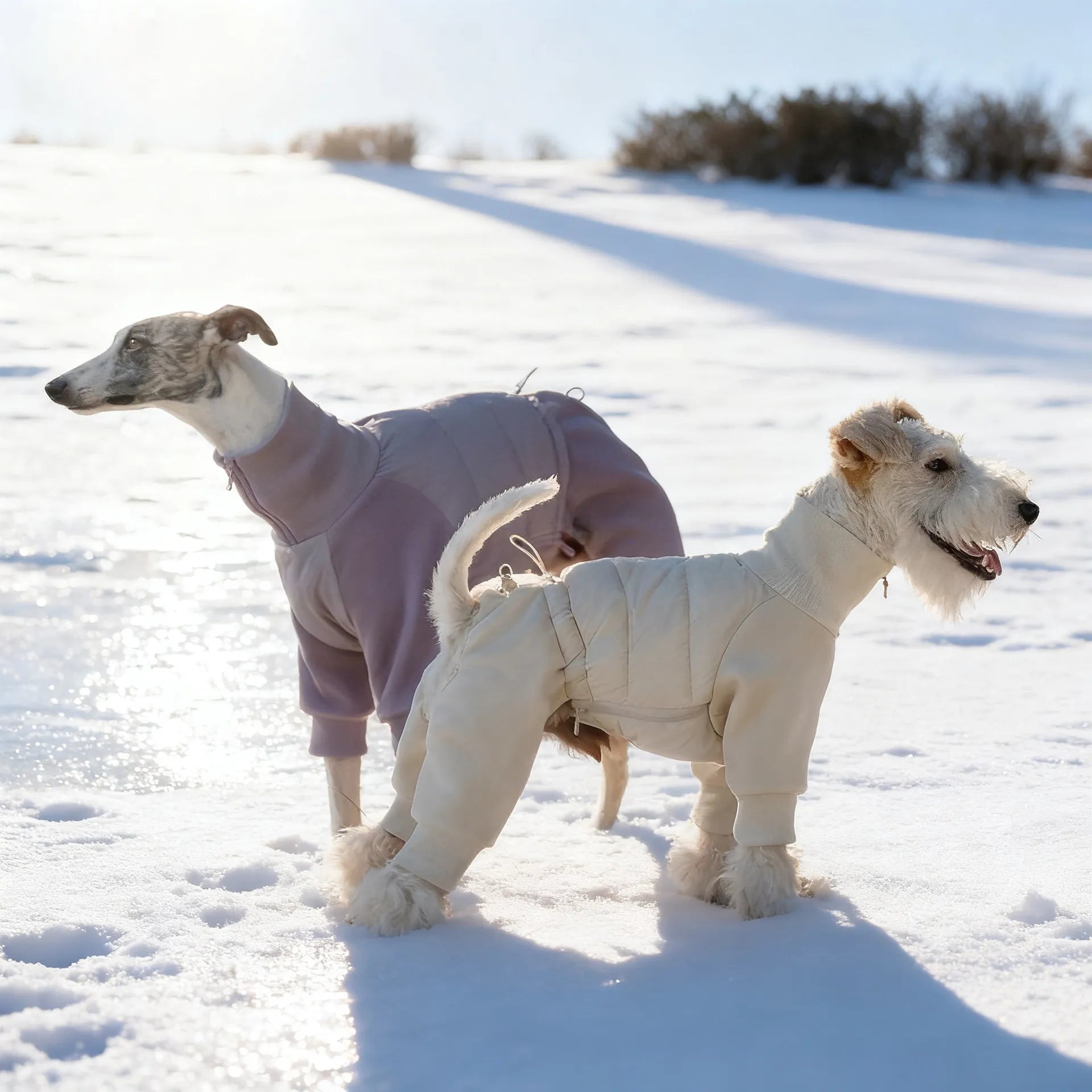 Warm Outdoor Cotton Coat for Dogs
