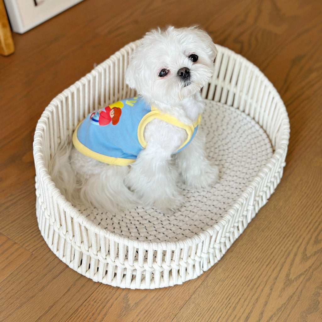 Handwoven Cotton Rope Pet Bed