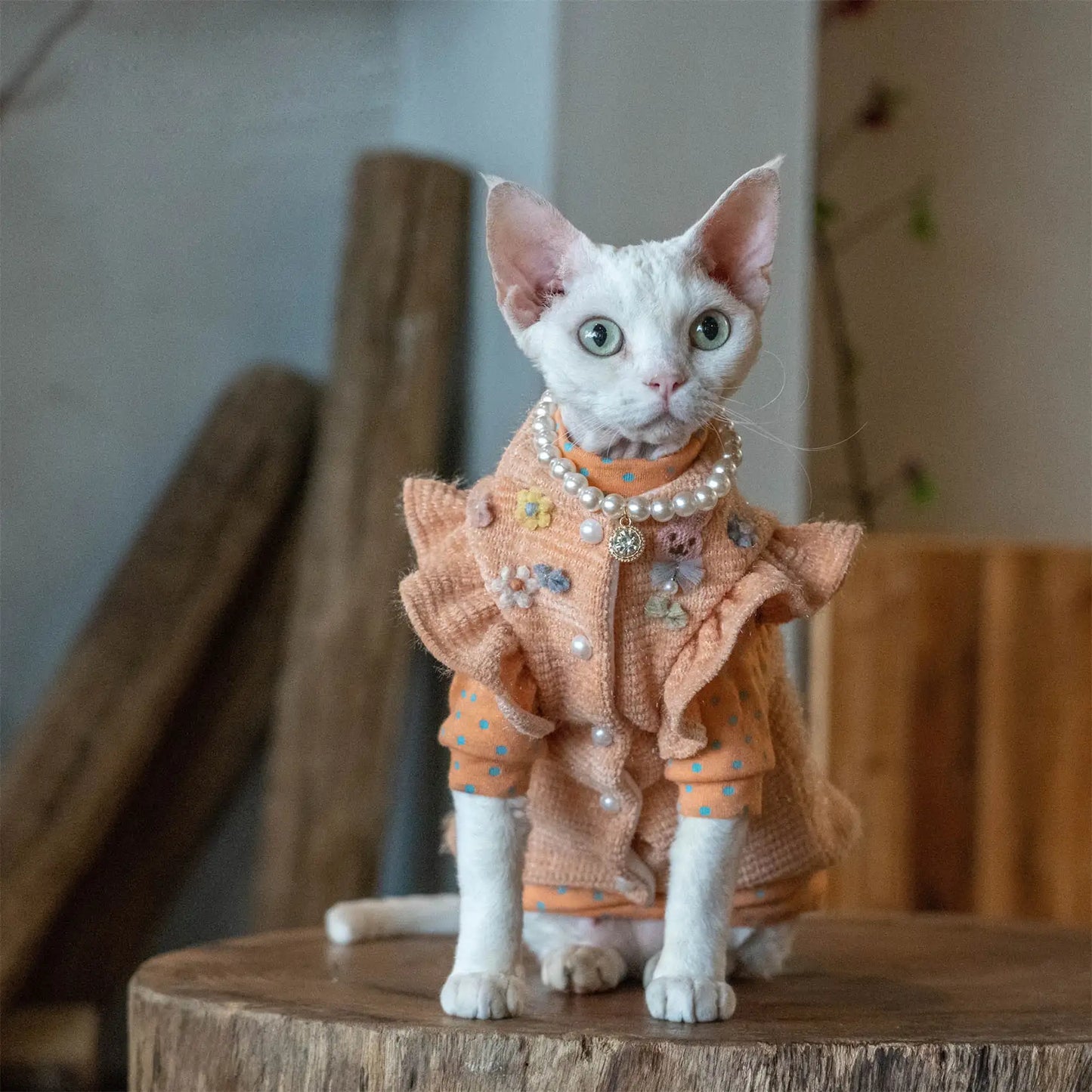 Veste pull à manches épaisses et boutons chat