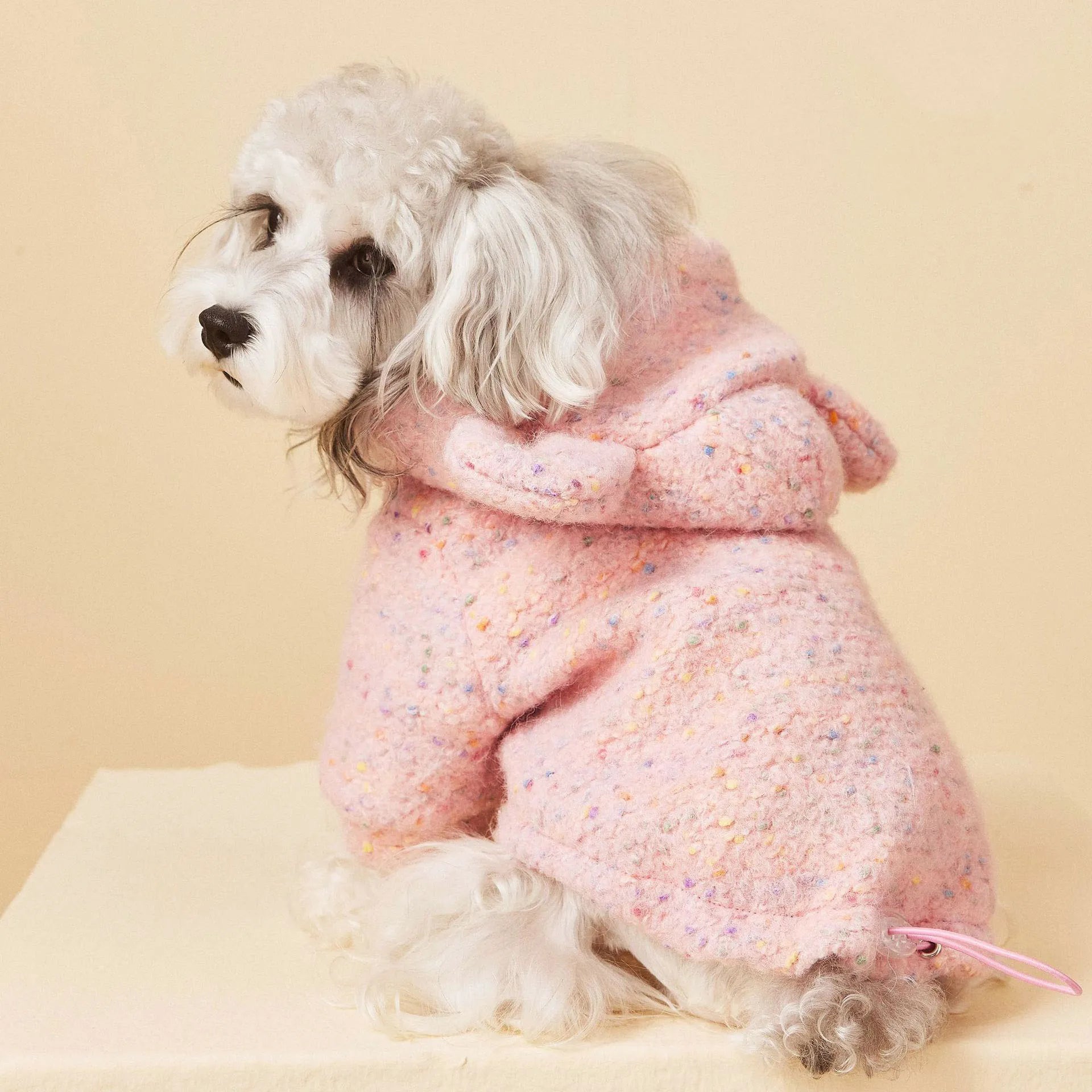 Hooded Wool Dog Coat