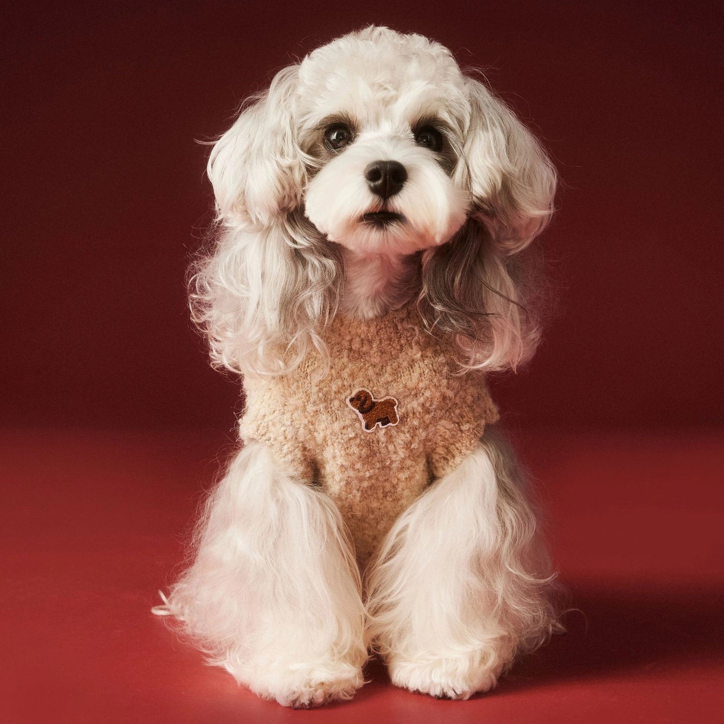 Cozy Knitted Dog Sweater Vest