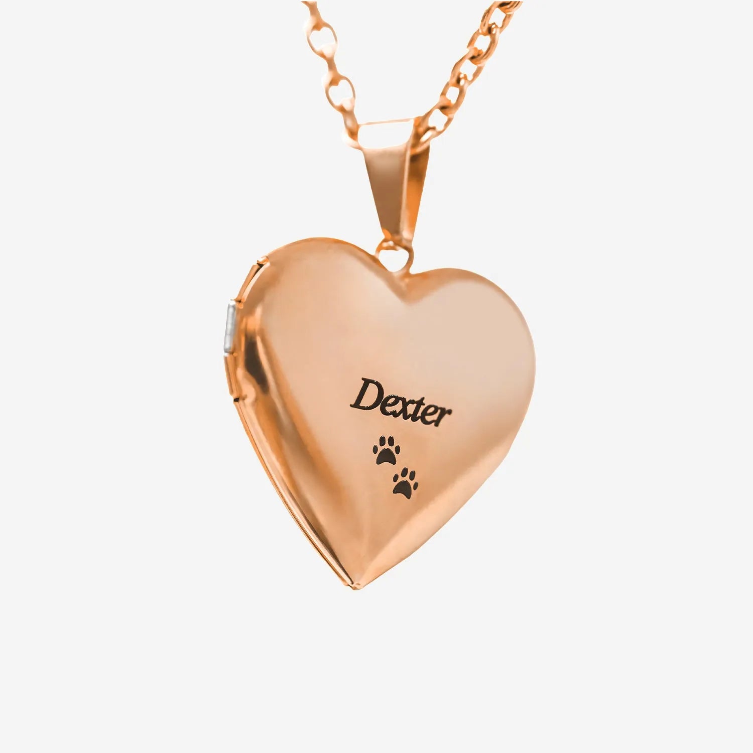 Heart Locket Necklace - Custom Pet Photo Jewelry