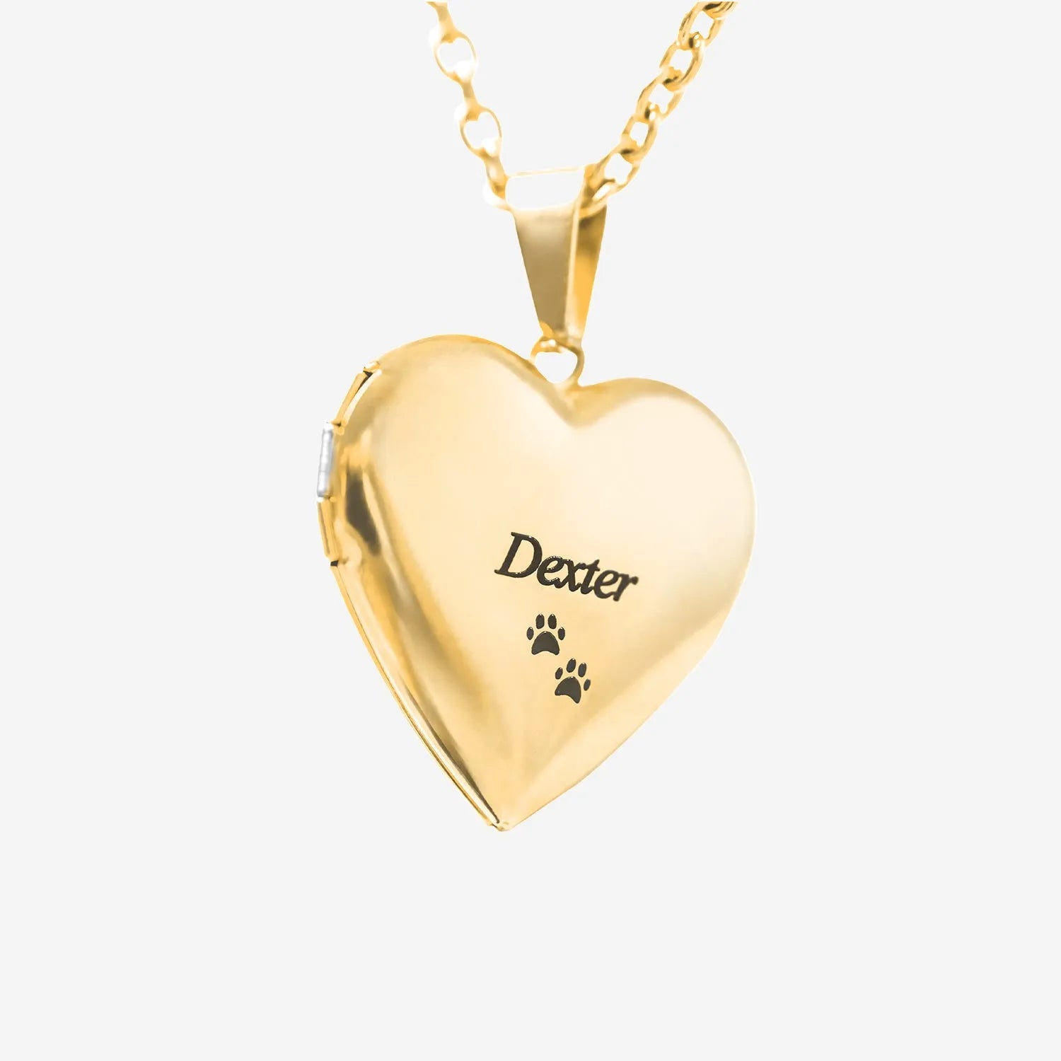 Heart Locket Necklace - Custom Pet Photo Jewelry