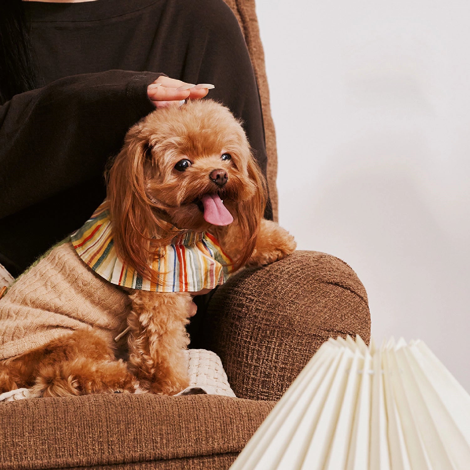 Autumn-Winter Small Pet Sweater