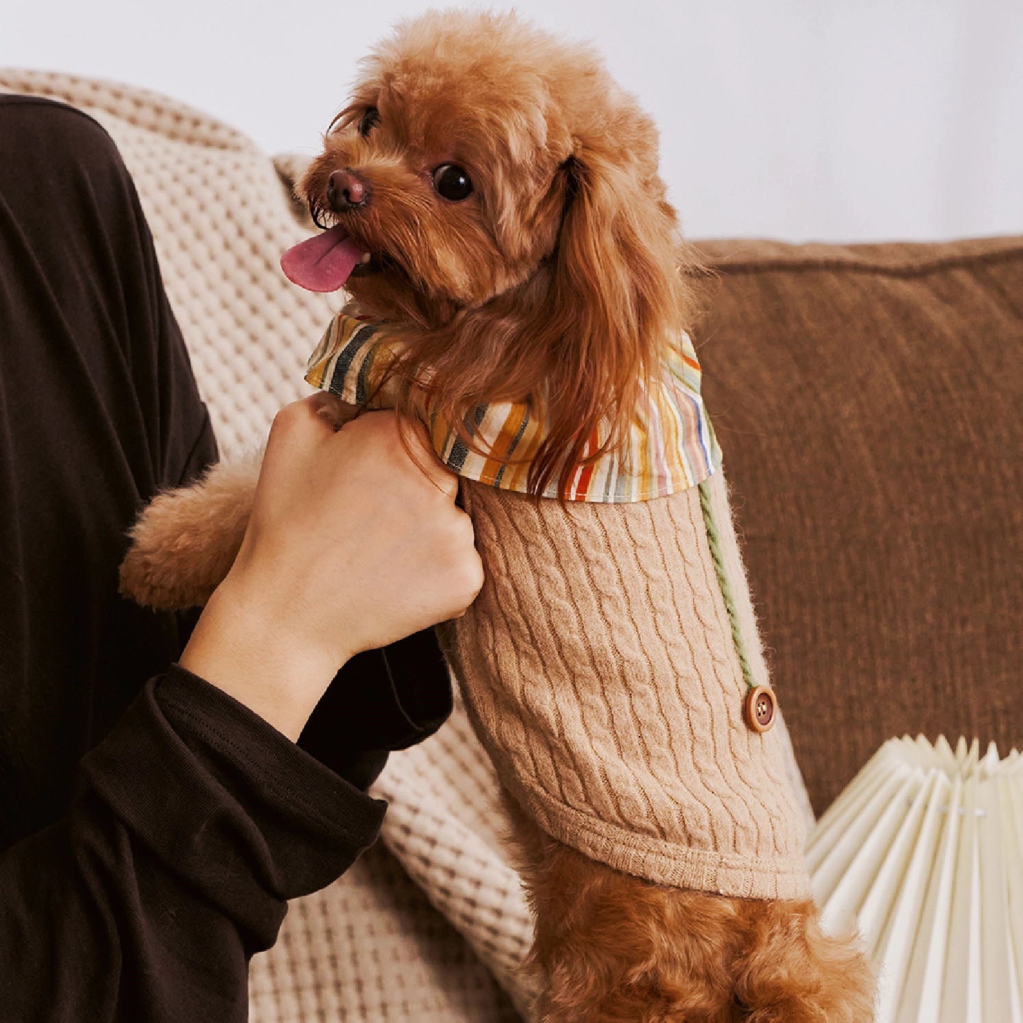 Autumn-Winter Small Pet Sweater