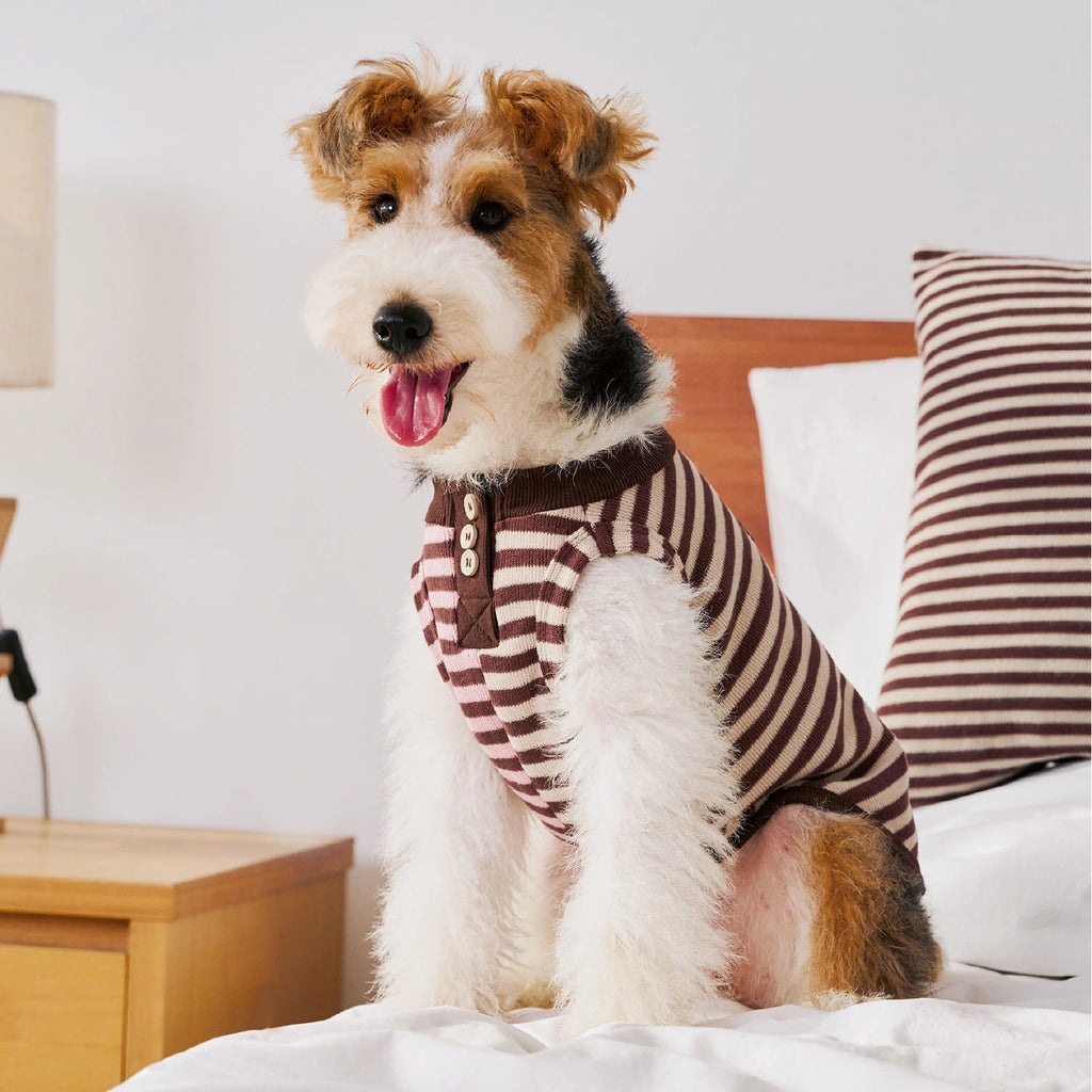 Pull d'automne et d'hiver pour animaux de compagnie