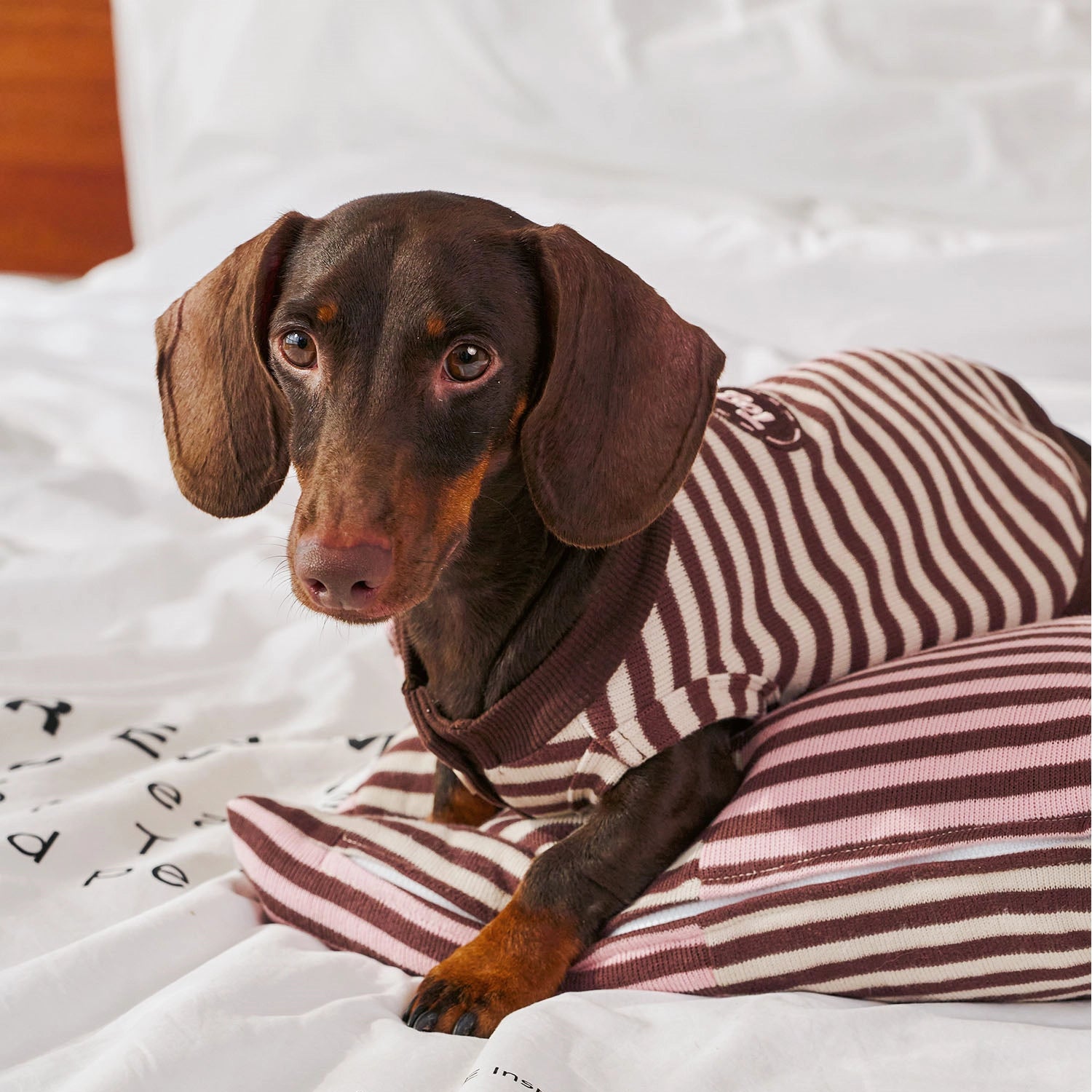 Autumn & Winter Pet Sweater