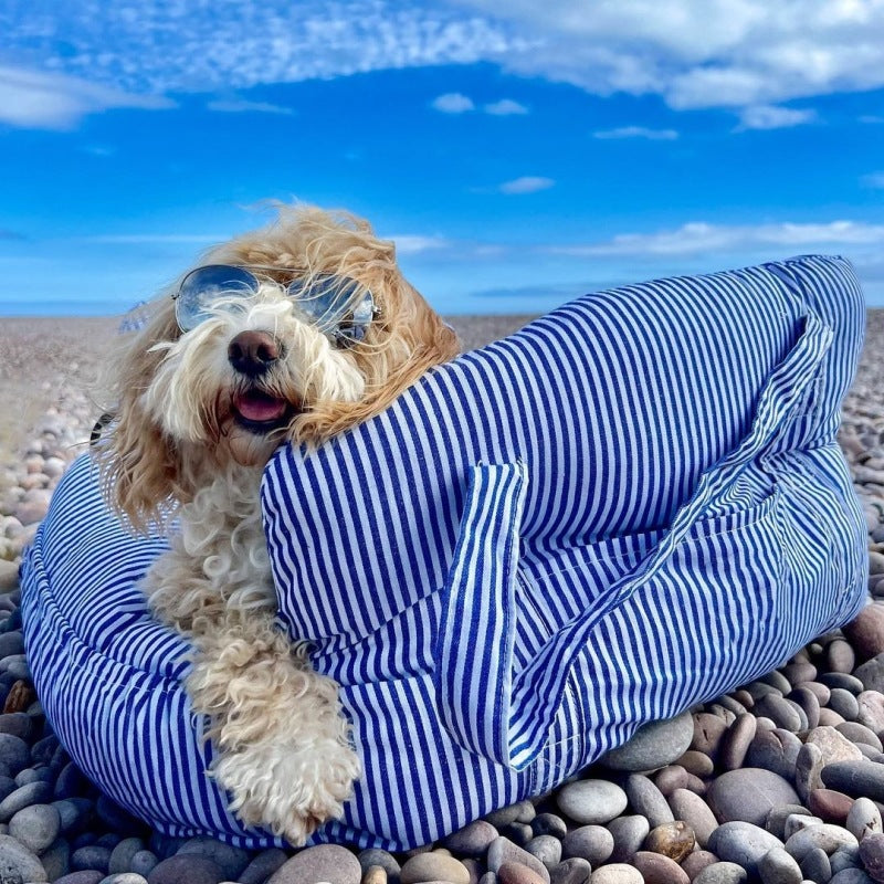 Portable Dog Car Seat & Carrier Bed