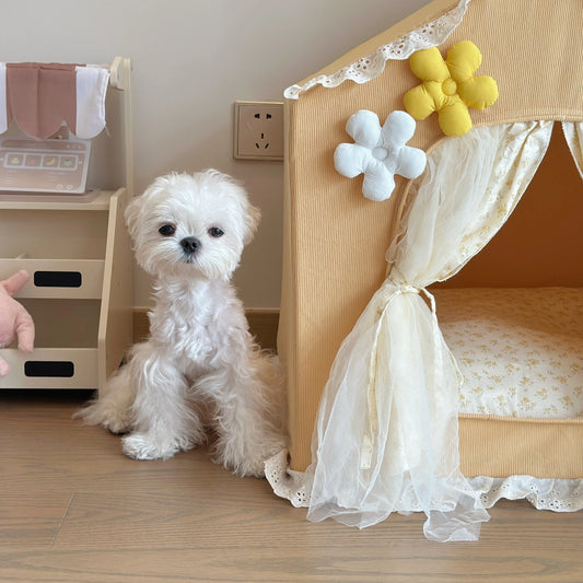 Princess Lace Pet Tent
