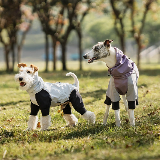 Imperméable pour chien à quatre pattes