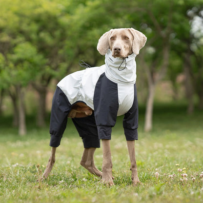 Imperméable pour chien à quatre pattes