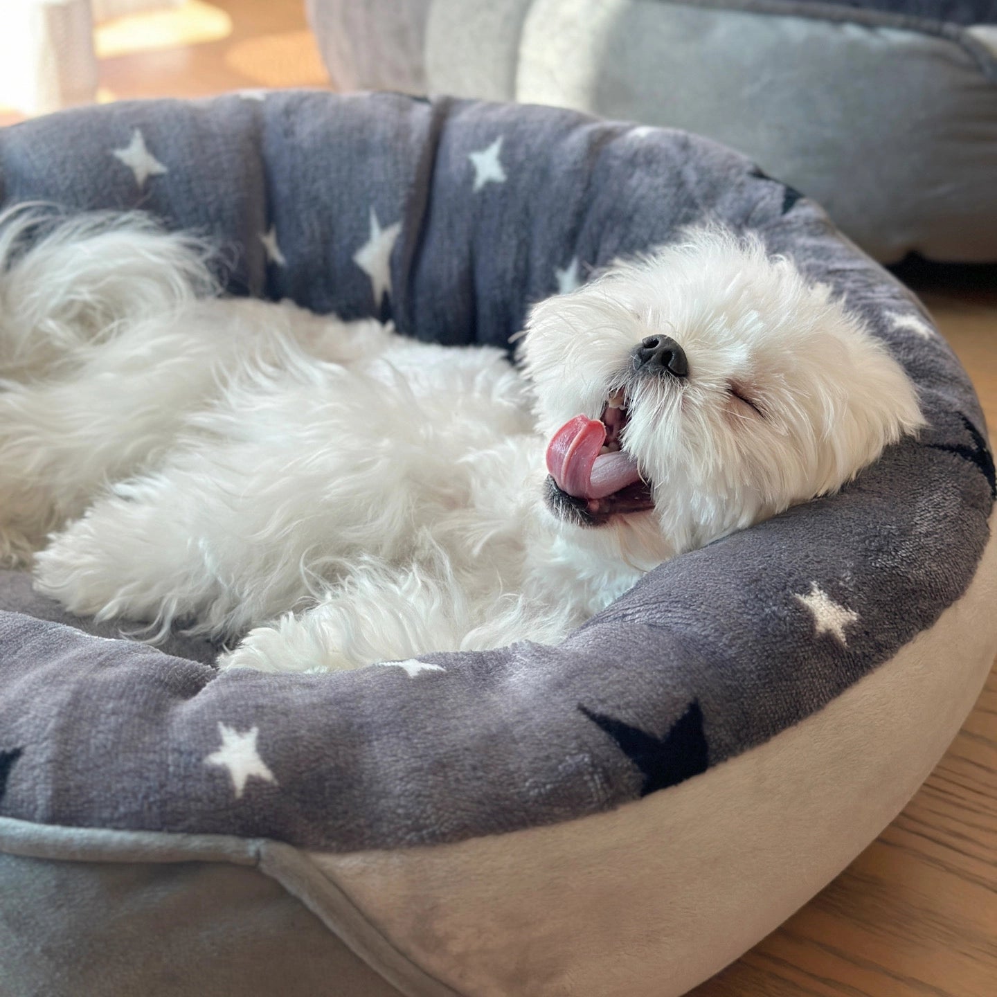 Round Winter Pet Bed