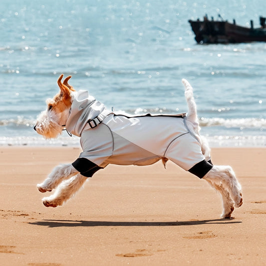 Imperméable pour chien à quatre pattes