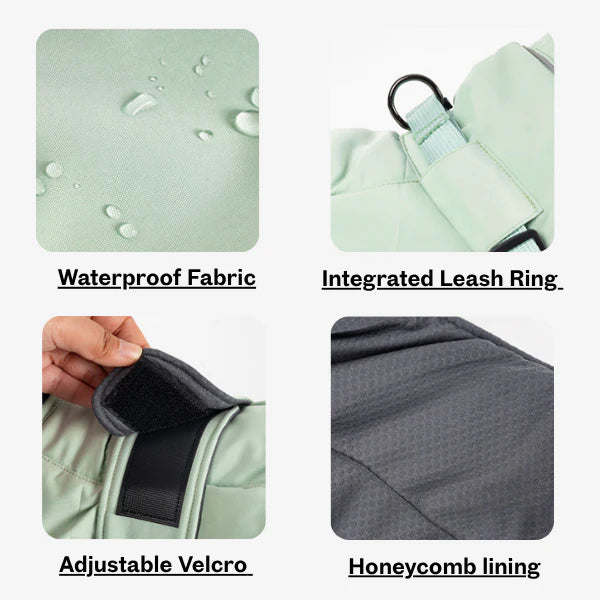 Windproof Dog Vest for Active Dogs