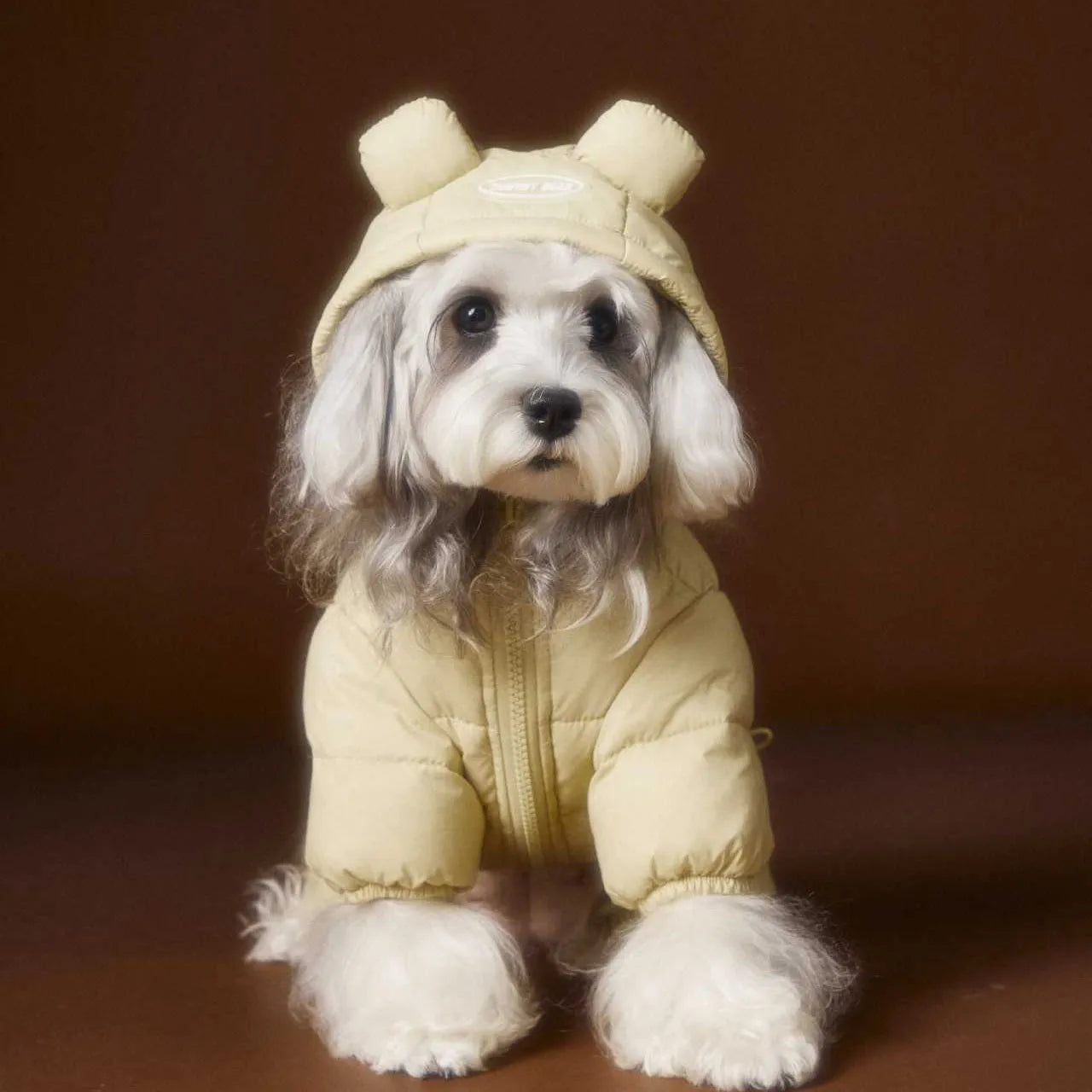 Four-Leg Winter Dog Down Jacket