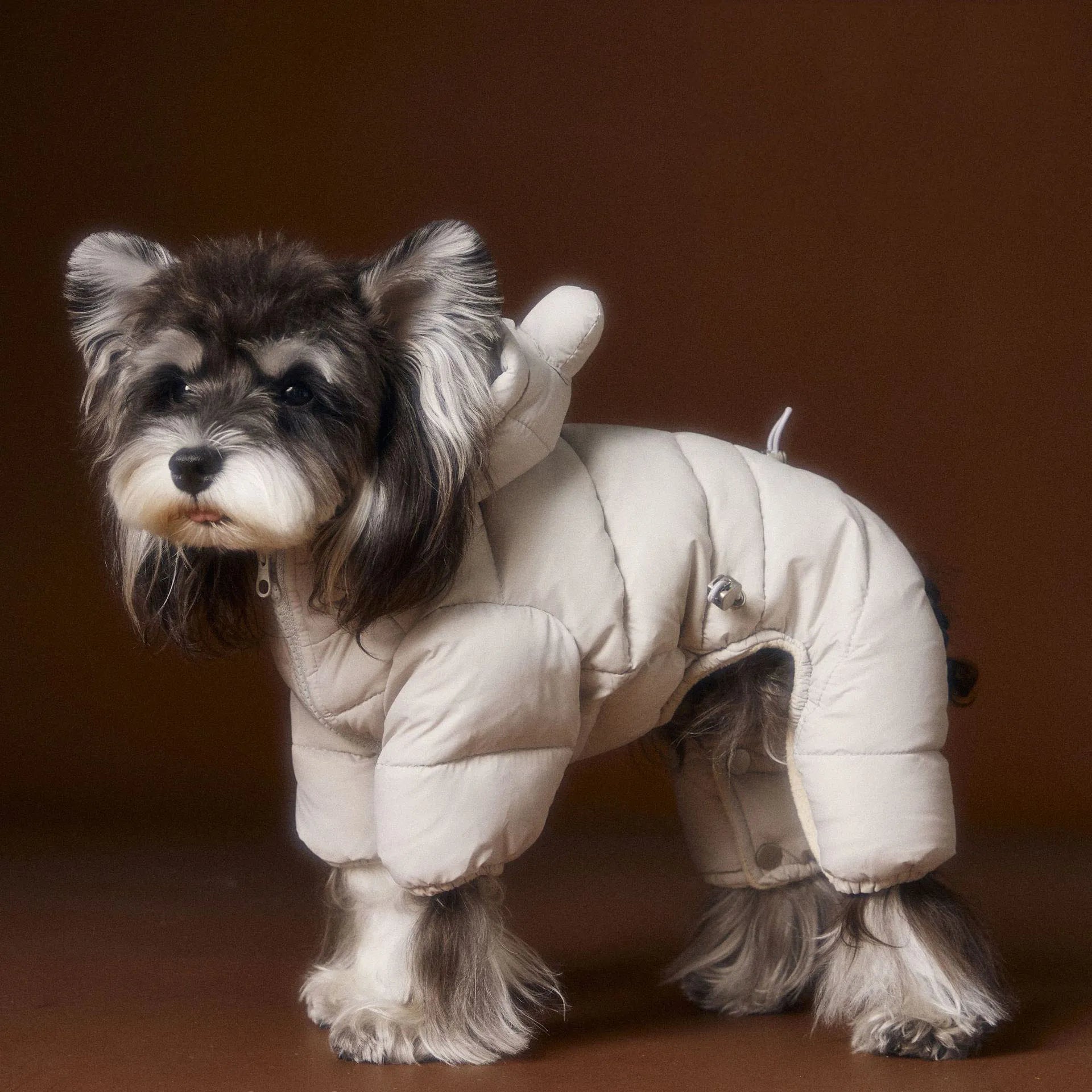 Four-Leg Winter Dog Down Jacket