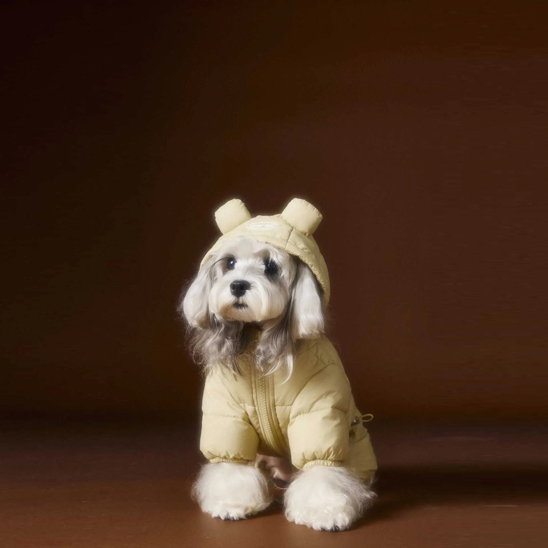 Four-Leg Winter Dog Down Jacket