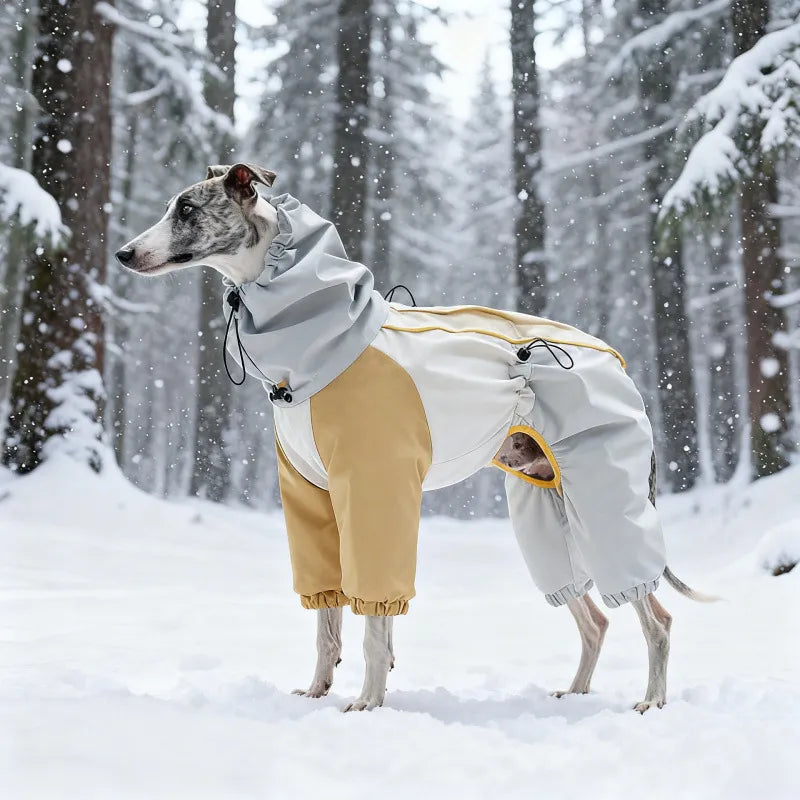Winter Dog Snowsuit – Waterproof & Windproof