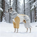 Winter Dog Snowsuit – Waterproof & Windproof