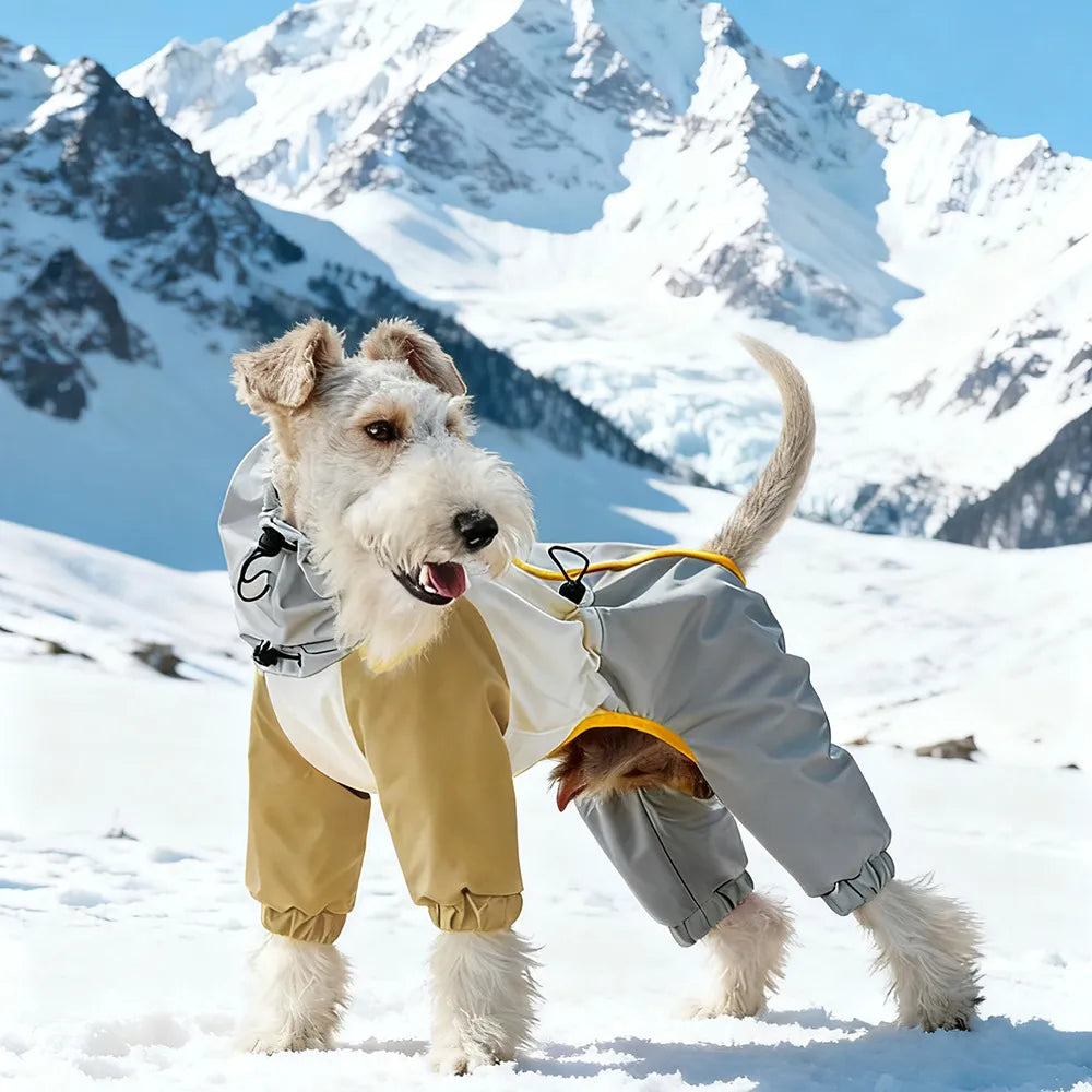 Winter Dog Snowsuit – Waterproof & Windproof