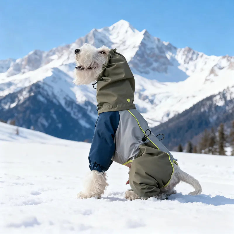 Winter Dog Snowsuit – Waterproof & Windproof